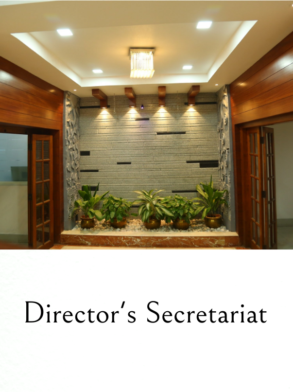 Director Secretrariat